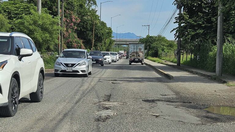 BACHES