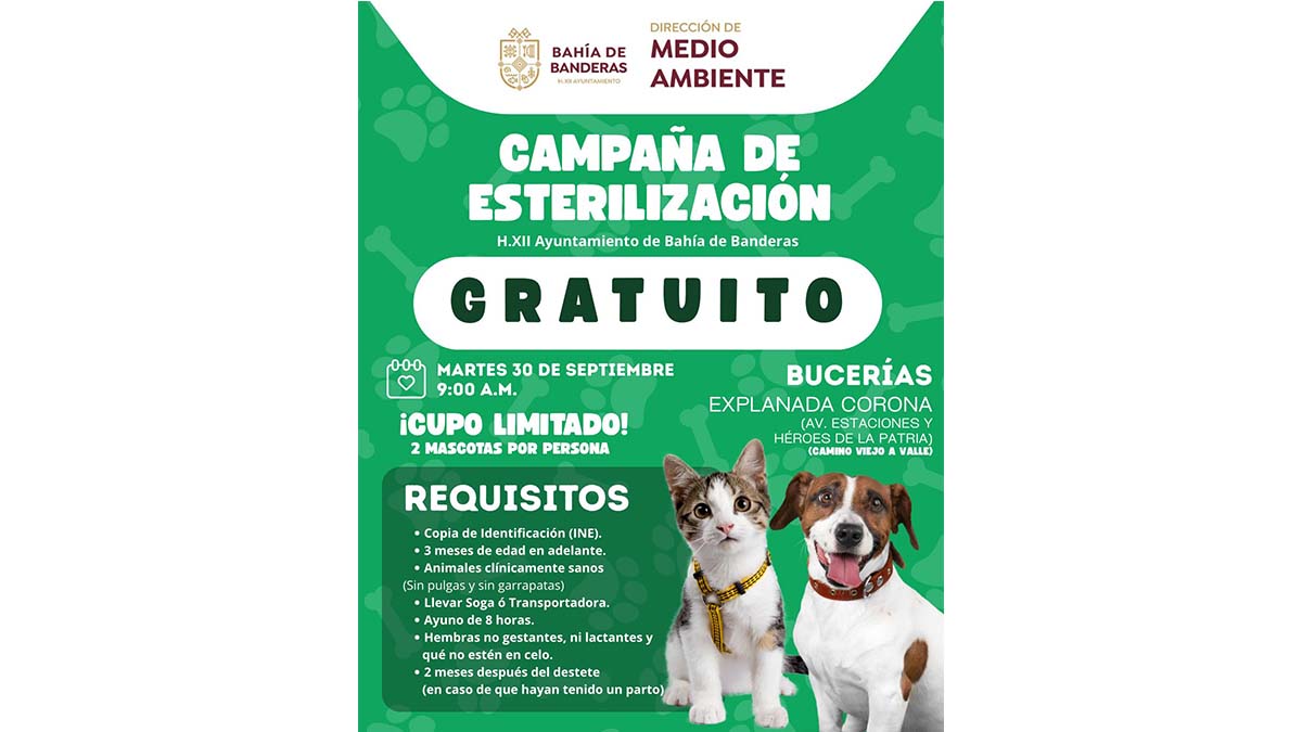 ESTERILIZACIÓN