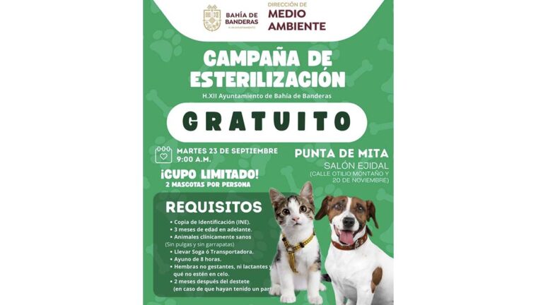 veterinaria