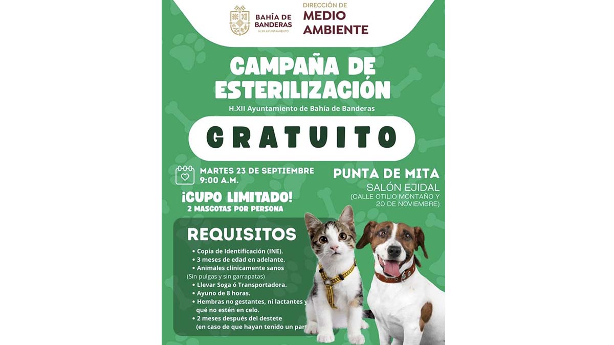 veterinaria
