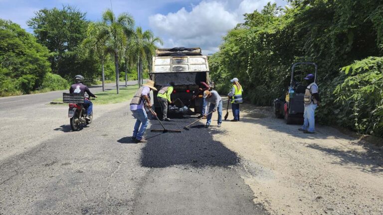 BACHEO2