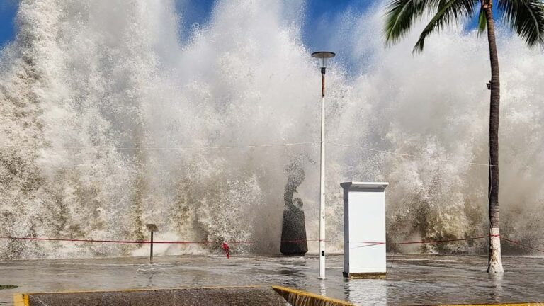 olas