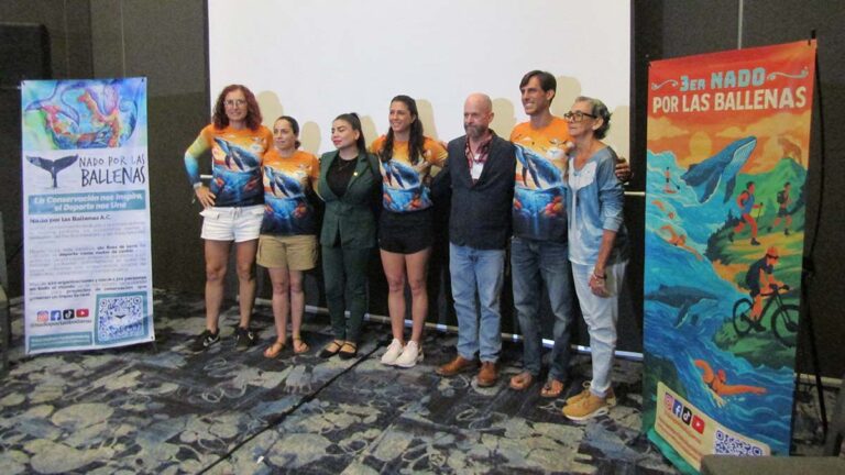 nado por las ballenas