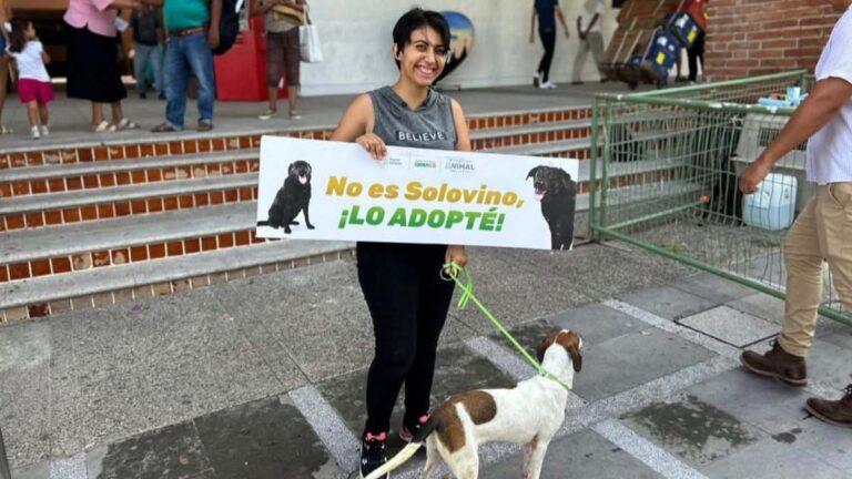ADOPTA