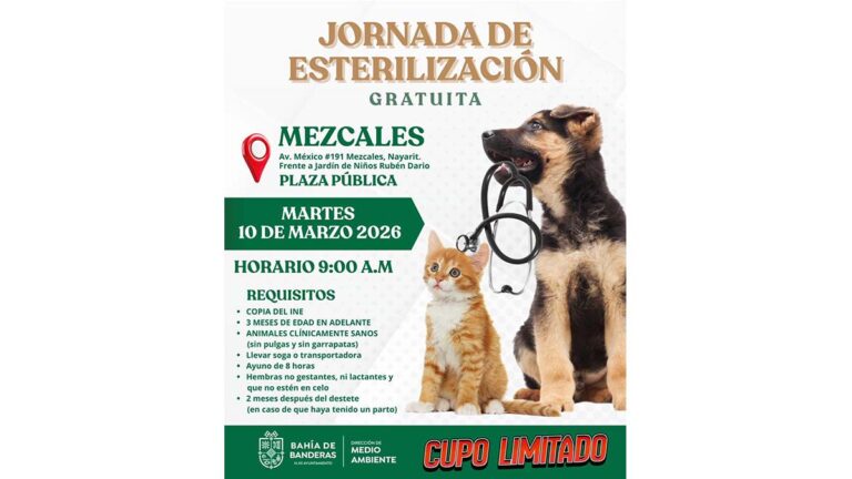 ESTERILIZACIÓN