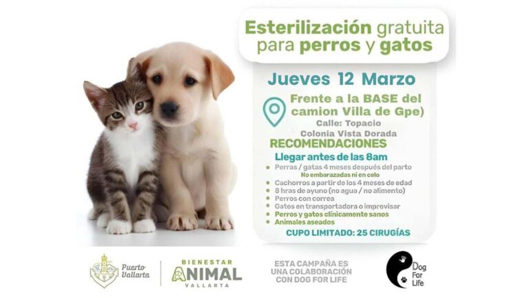 ESTERILIZACIÓN VALLARTA