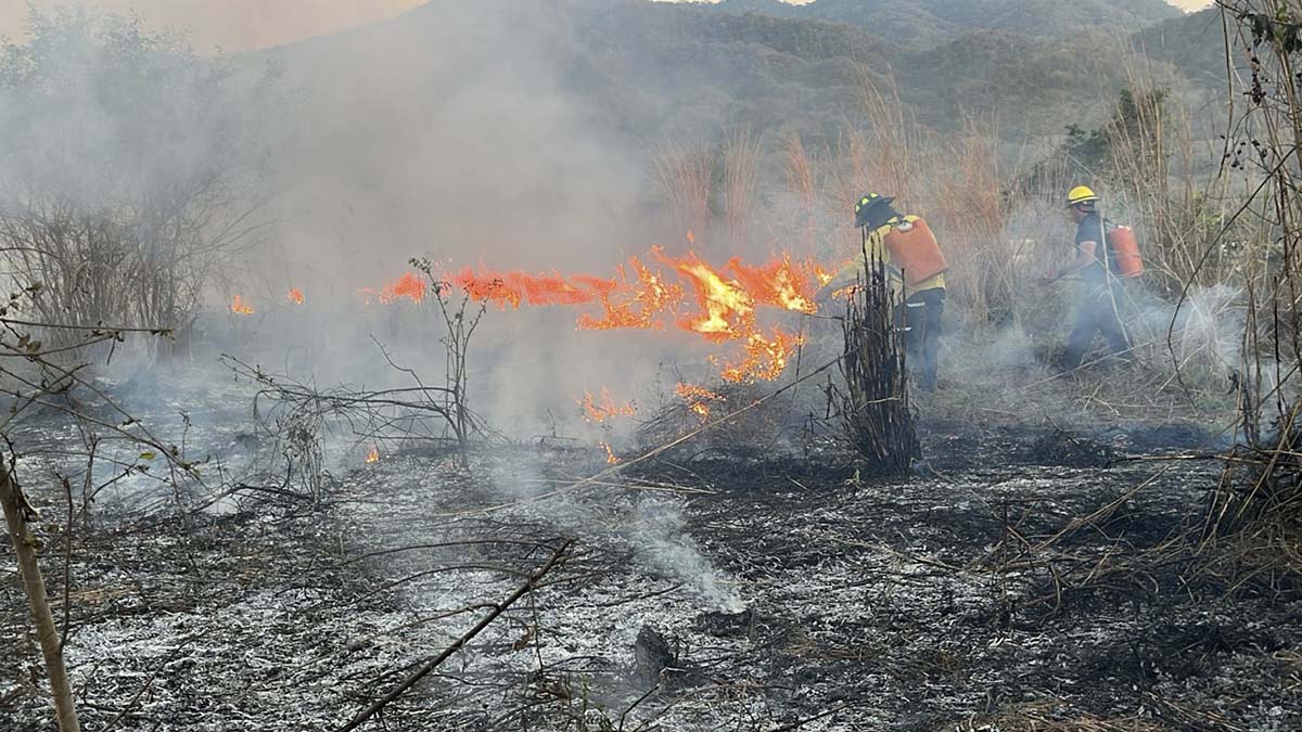 INCENDIO VALLARTA2
