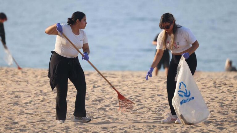 playa del holi limpieza