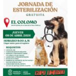 esterilización
