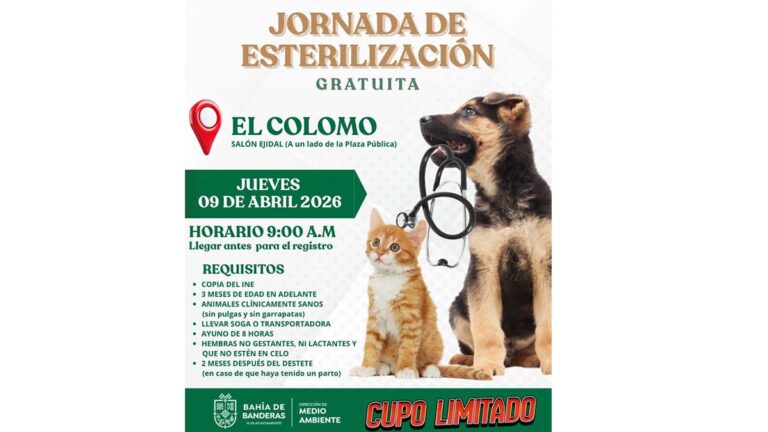 esterilización