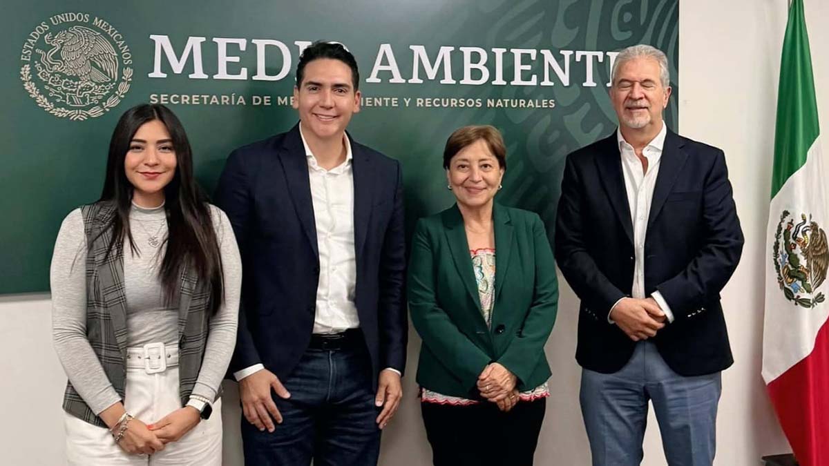 AMBIENTAL