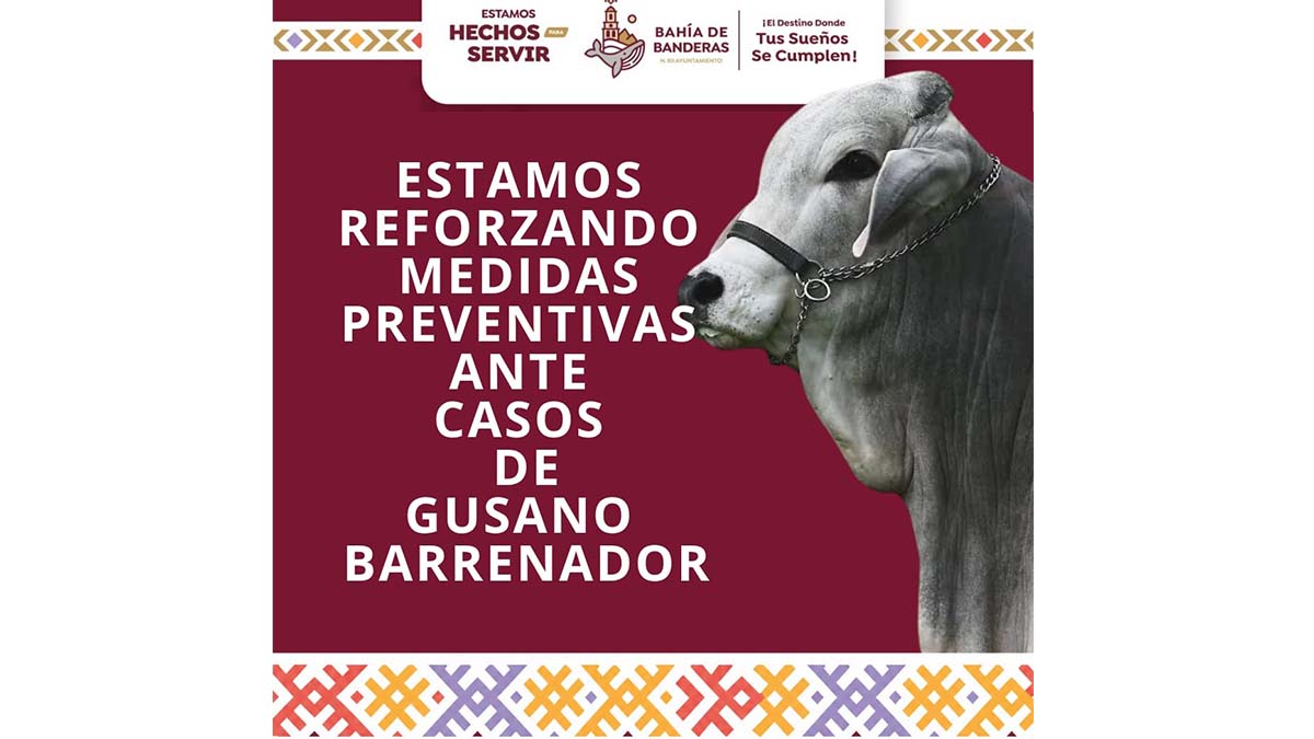 BARRENADOR