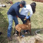 BARRENADOR JALISCO2