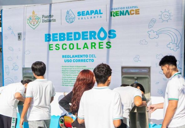 BEBEDEROS2