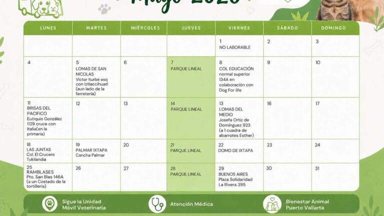 ESTERILIZACIONES