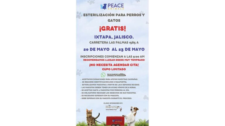 ESTERILIZACIONES
