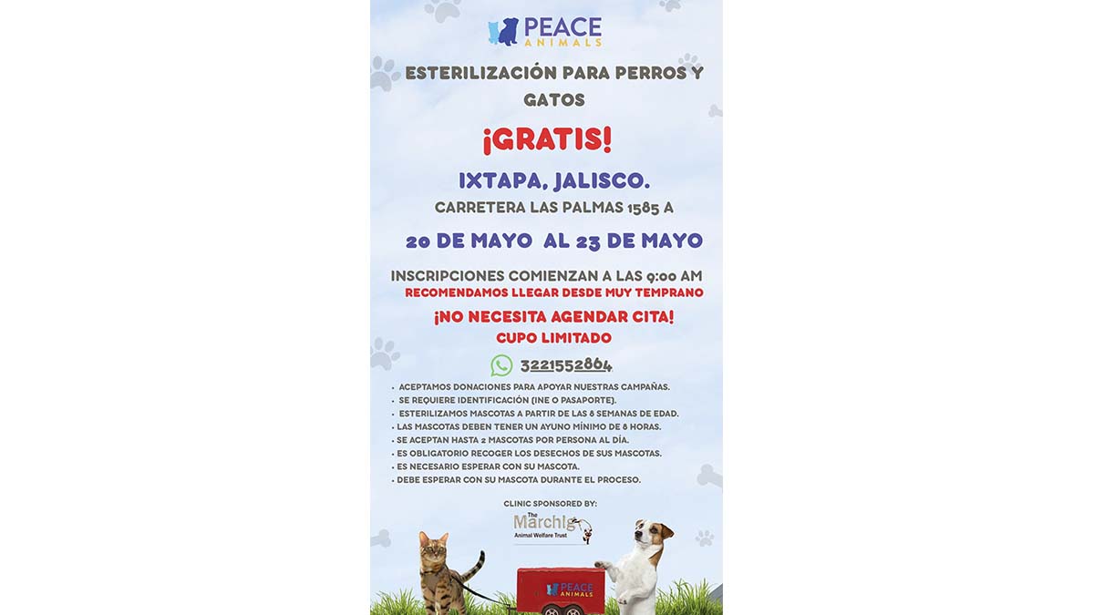 ESTERILIZACIONES