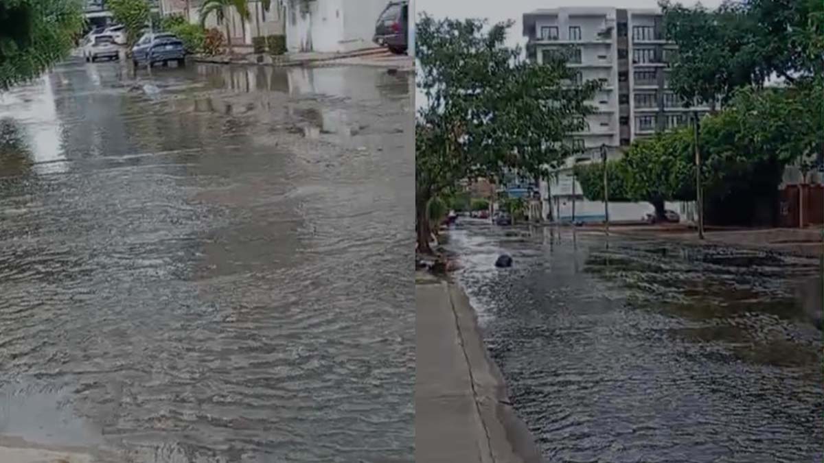 AGUAS NEGRAS3