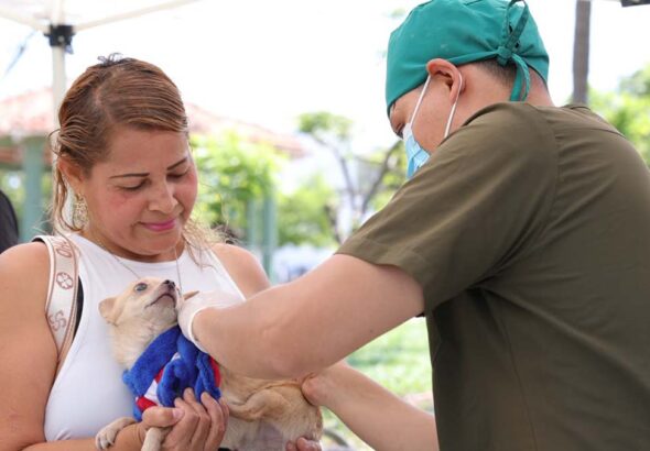 ESTERILIZACIONES
