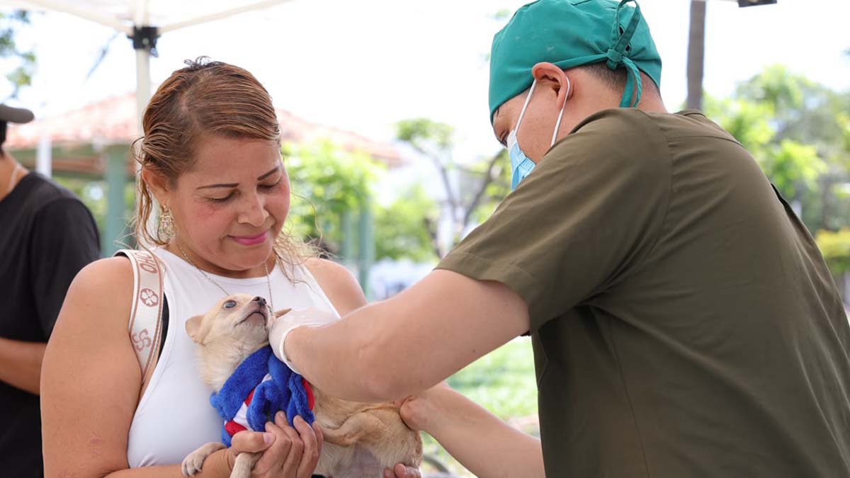 ESTERILIZACIONES
