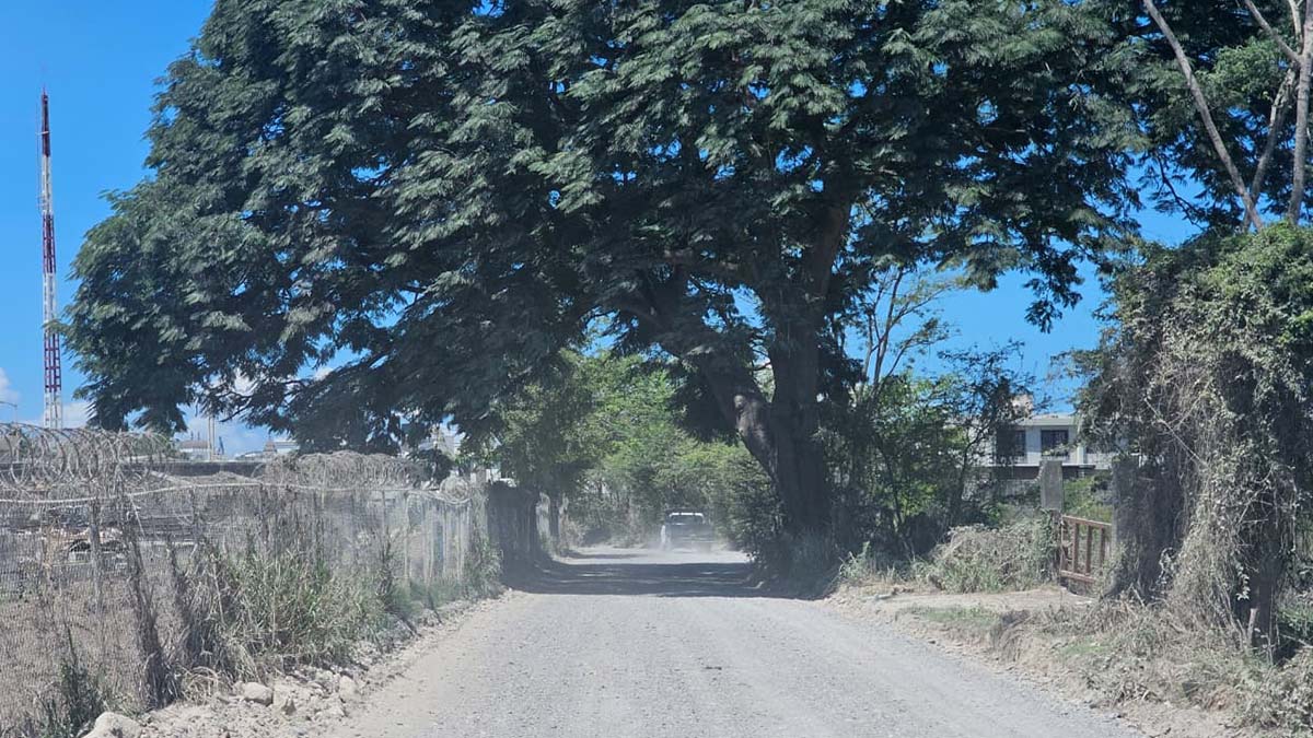 JARRETADERAS3