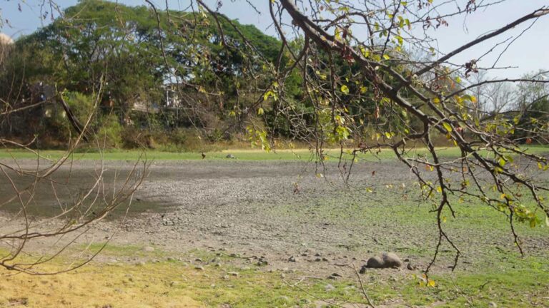 LAGUNA2