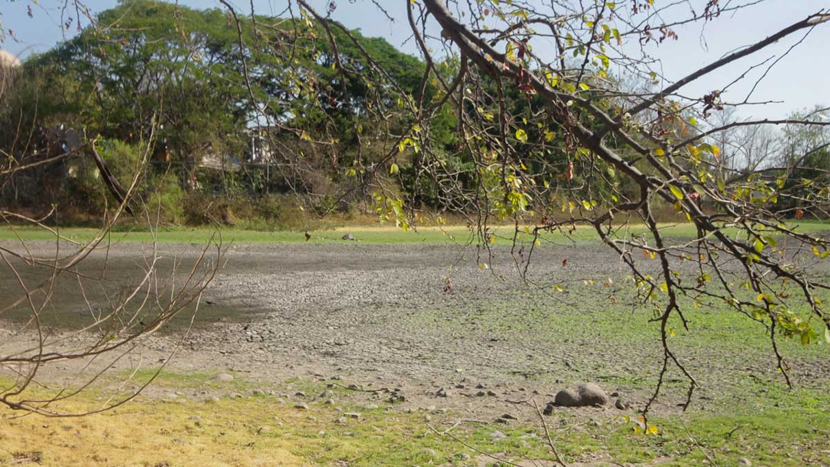 LAGUNA2