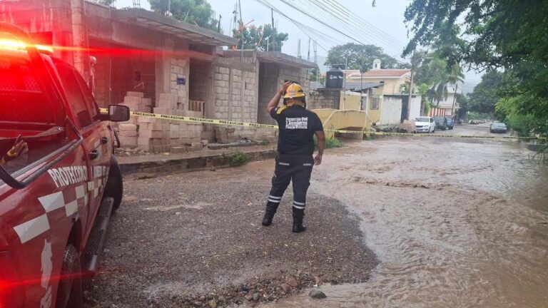 PRECAUCIONES
