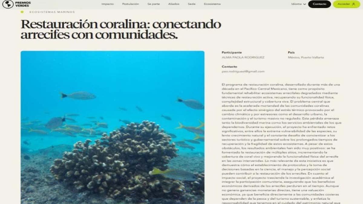 PROYECTO1