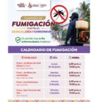 fumigación
