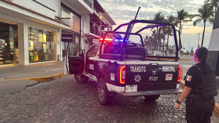 seguridad pública