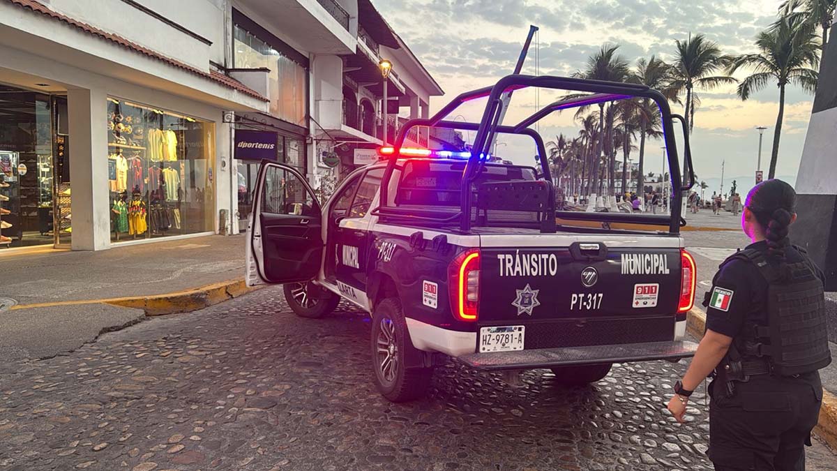 seguridad pública