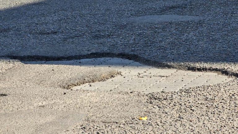 BACHES2