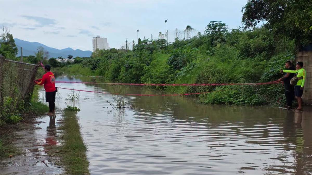 COCODRILO