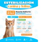 ESTERILIZACIÓN