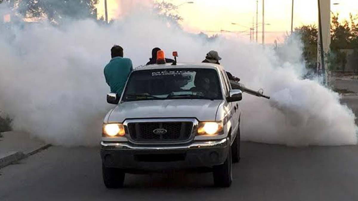 FUMIGACIÓN3