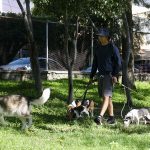 VACUNACIÓN3