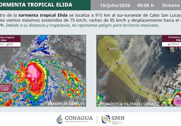 elida