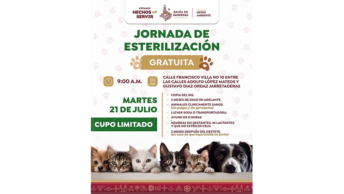 esterilización