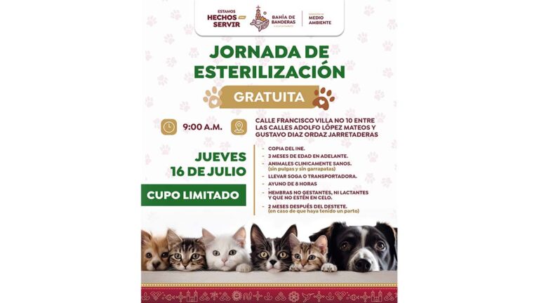 esterilización