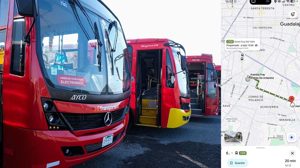 transporte