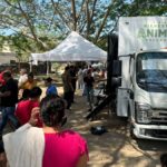 unida dmóvil veterinaria