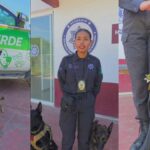 unidad canina k9