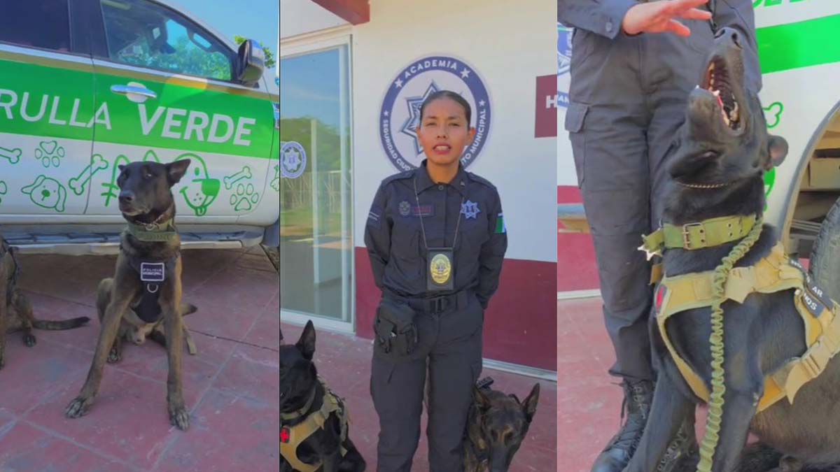 unidad canina k9