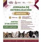 ESTERILIZACIÓN