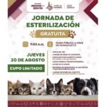 ESTERILIZACIÓN