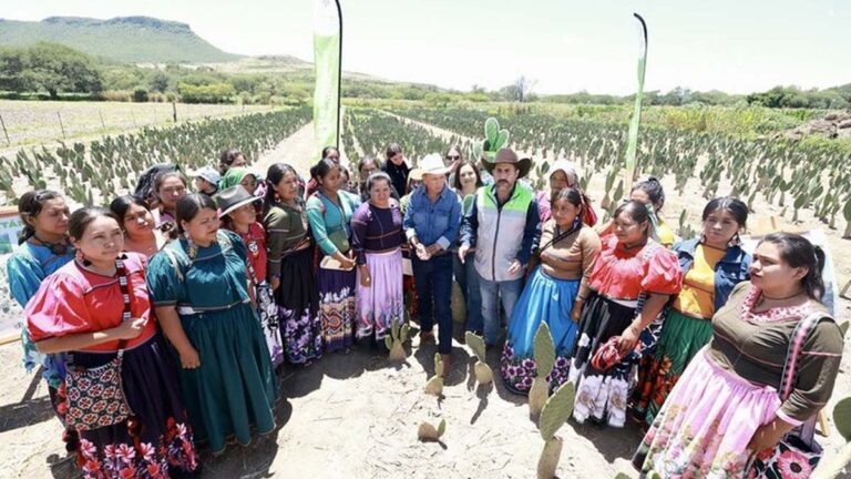 NOPALES