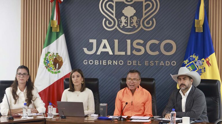 REFORESTACIÓN