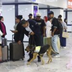 VIGILANCIA2