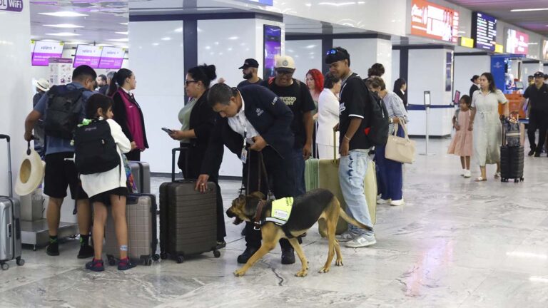 VIGILANCIA2